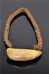 A Fijian whale's tooth - or tabua